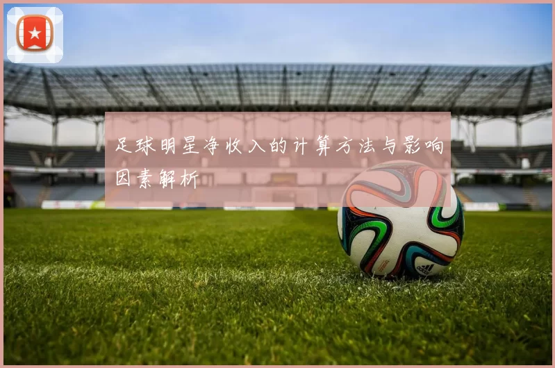 足球明星净收入的计算方法与影响因素解析