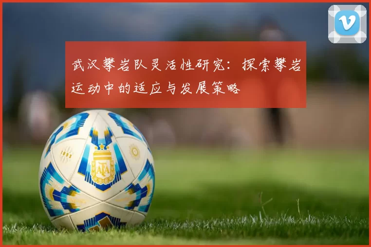 武汉攀岩队灵活性研究：探索攀岩运动中的适应与发展策略