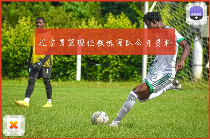 辽宁男篮现任教练团队公开资料