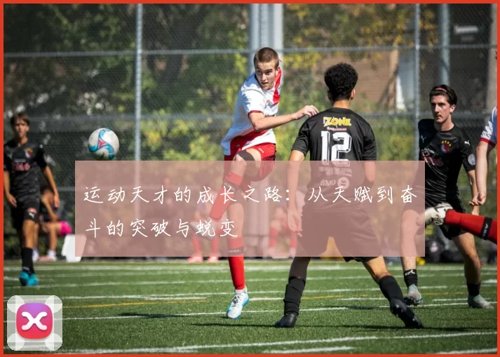 运动天才的成长之路：从天赋到奋斗的突破与蜕变