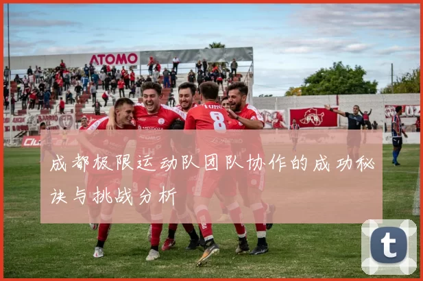 成都极限运动队团队协作的成功秘诀与挑战分析