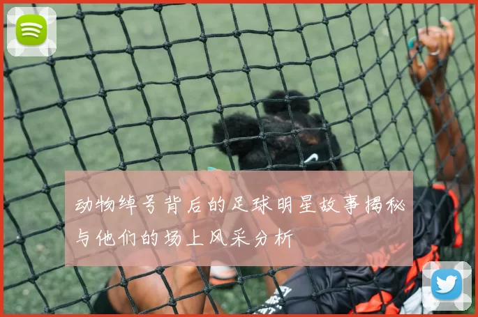 动物绰号背后的足球明星故事揭秘与他们的场上风采分析