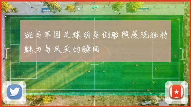 斑马军团足球明星侧脸照展现独特魅力与风采的瞬间