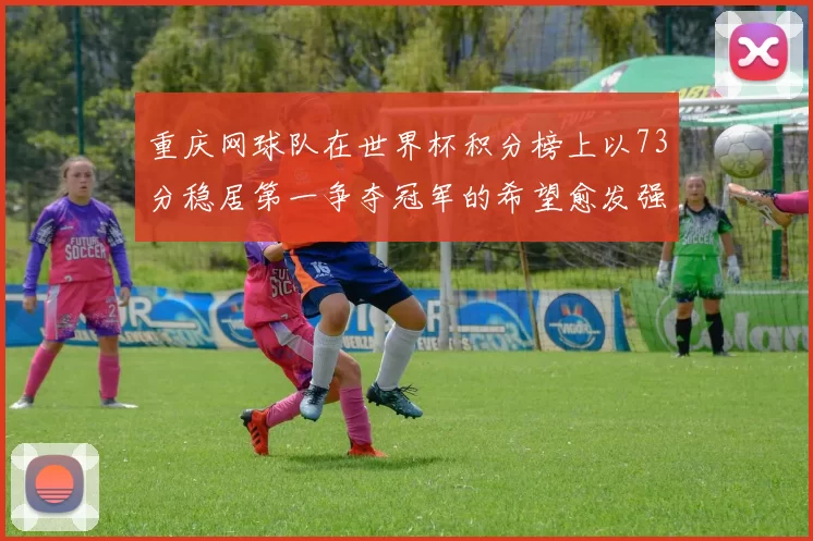 重庆网球队在世界杯积分榜上以73分稳居第一争夺冠军的希望愈发强烈