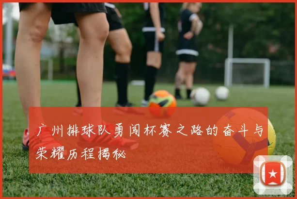 广州排球队勇闯杯赛之路的奋斗与荣耀历程揭秘