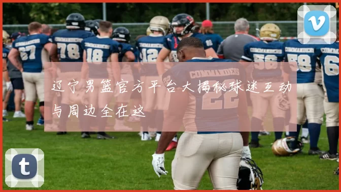 辽宁男篮官方平台大揭秘球迷互动与周边全在这