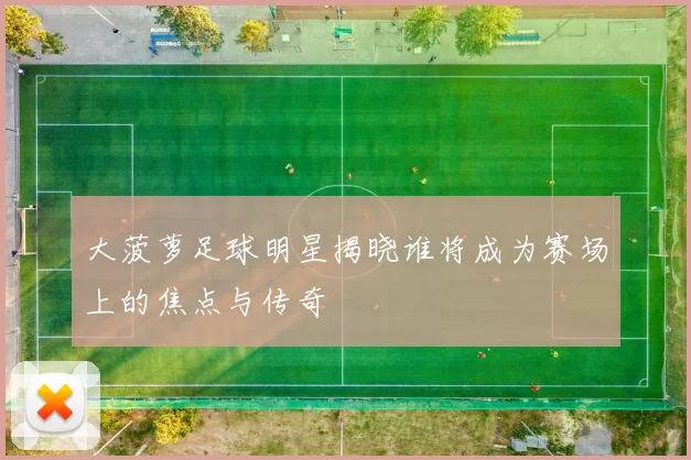 大菠萝足球明星揭晓谁将成为赛场上的焦点与传奇