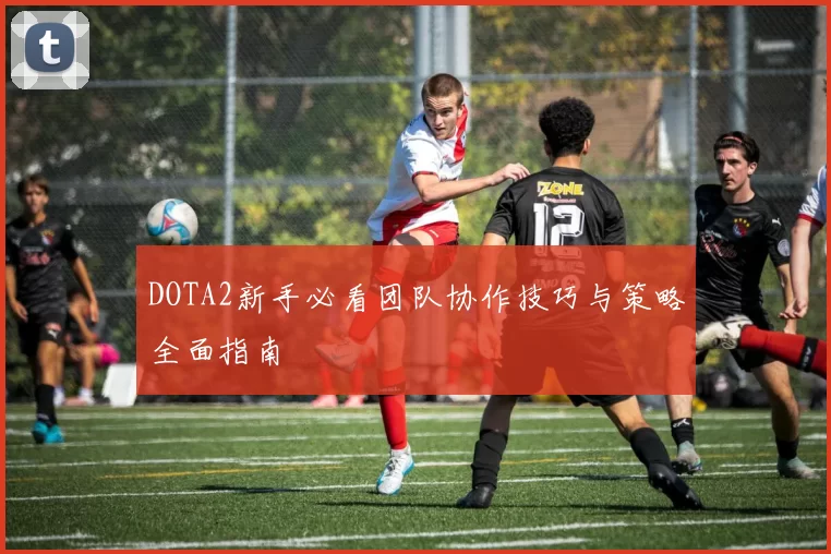 DOTA2新手必看团队协作技巧与策略全面指南