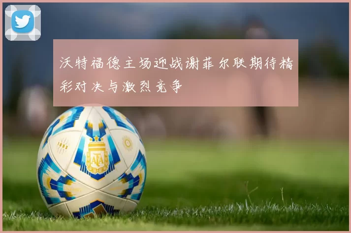 沃特福德主场迎战谢菲尔联期待精彩对决与激烈竞争
