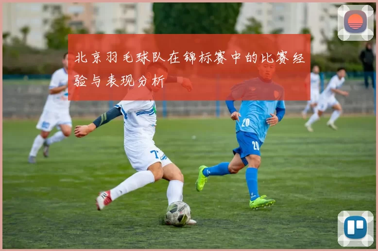北京羽毛球队在锦标赛中的比赛经验与表现分析