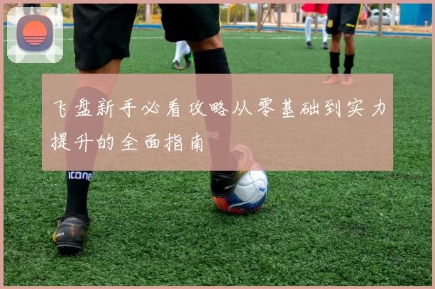 飞盘新手必看攻略从零基础到实力提升的全面指南