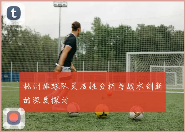 杭州排球队灵活性分析与战术创新的深度探讨
