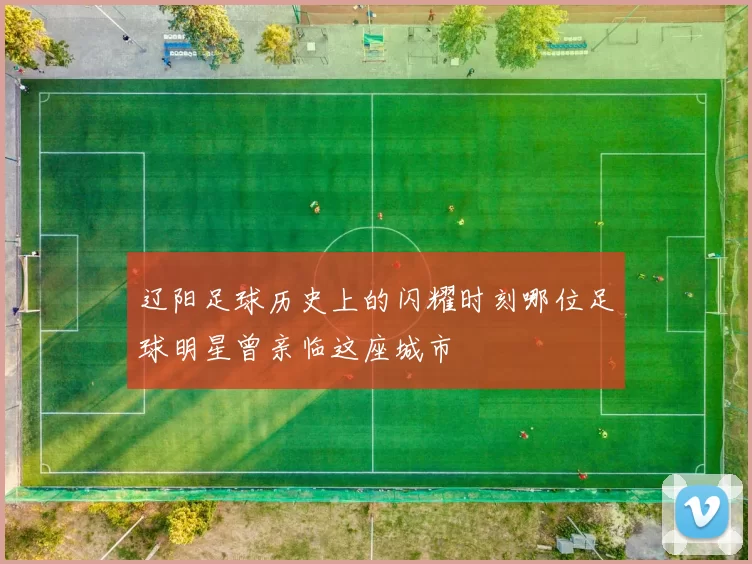辽阳足球历史上的闪耀时刻哪位足球明星曾亲临这座城市
