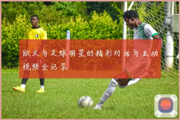 欧文与足球明星的精彩对话与互动视频全记录