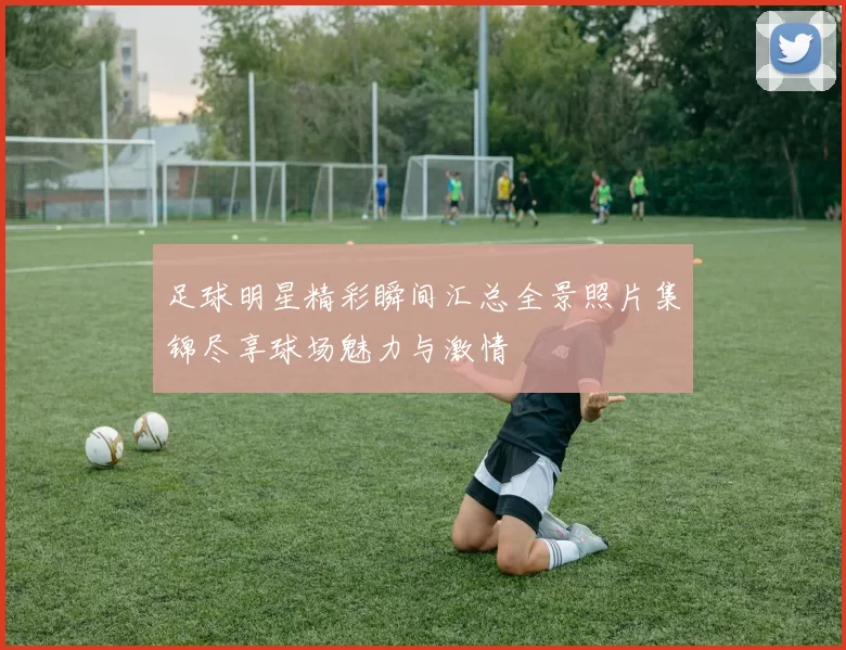 足球明星精彩瞬间汇总全景照片集锦尽享球场魅力与激情