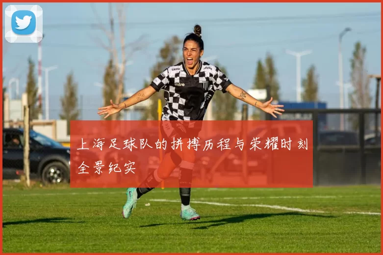 上海足球队的拼搏历程与荣耀时刻全景纪实