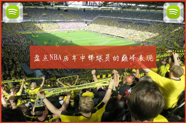 盘点NBA历年中锋球员的巅峰表现